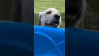 Hide and Seek