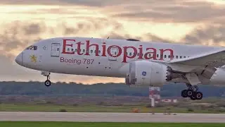 18 morning landings at Domodedovo (Moscow, Russia). September, 2023