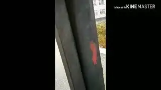 Фильм годен до .....