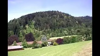 Schwarzwald. Glottertal. Ein Sommermärchen