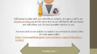 WordPress technical support for errors