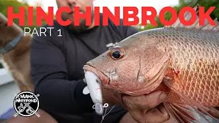HINCHINBROOK Part 1 - The creeks and Jetty