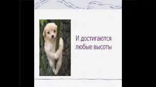 Поздравление с Новым годом!