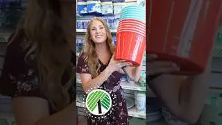 The # 1 product at DOLLAR TREE right now! 🤯