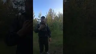 История одного москита!  #выживалыч #выживание   #дикаяприрода  #бушкрафт