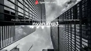 Почему котикам компьютеры не нравятся | Slowed remix