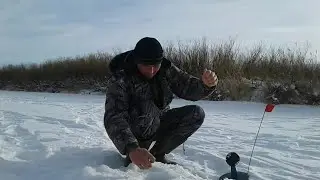 Пошёл я значит за щукой. А она...   Вот такая вот рыбалка!