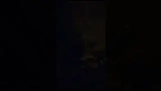 Дрыгатель