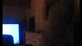 дожидаюсь кошечку