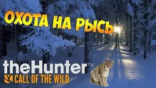 theHunter Call of the Wild #21 - Охота на рысь | Patch 1.18