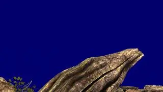 FrontGround Rock Grass | 3D Animation