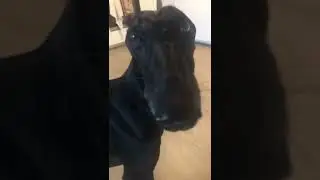 “are you serious my brotha”