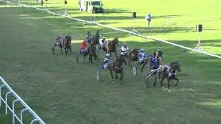 Saignelégier/09.08.2024/Prix Marcel Fresard