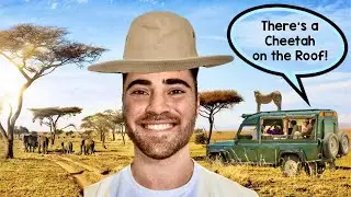 A Locals Guide to a South African Safari: Tips, Tricks & Must-Knows🦁🇿🇦