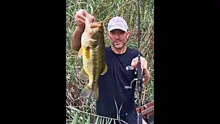 No Lip Grip For Bass