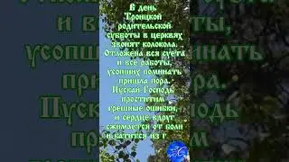 Вселенская Троицкая родительская суббота.