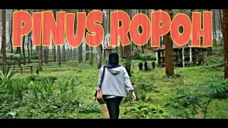 WISATA PINUS ROPOH - KEPIL 