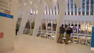Testing Dual Stabilizer on the Panasonic GH5 Camera Walking Through the Oculus in NYC