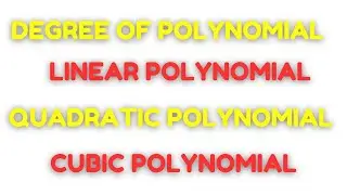 What is a Polynomial?