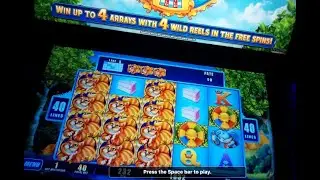 Slots! Cheshire Cat, Night Jasmine and Fortune Gong