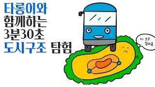 타롱이와 함께하는 3분30초 도시구조 탐험