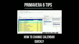 How to change calendar in your Primavera p6 Project Plan? |Primavera6 Tips| 