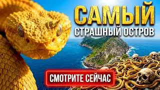 САМЫЙ СТРАШНЫЙ ОСТРОВ В МИРЕ!! Змеиный остров! 
