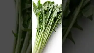 Leafy Vegetables Names | Learn Leafy Vegetables Names In English |Basic Leafy Vegetables with Images