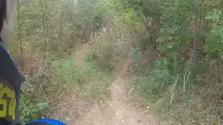 Земляничка с бодунца