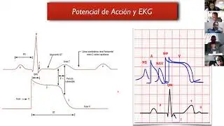 Conceptos Fundamentales para Entender el EKG