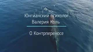 О Контрпереносе