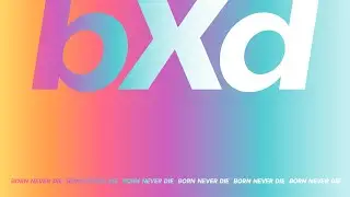 bXd ❀ (Born Never Die)