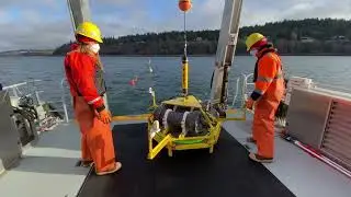 Studying underwater noise to protect Puget Sound orcas