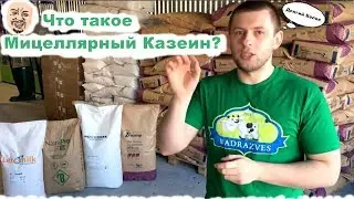 Что такое Мицеллярный Казеин.  Отличие Казеинов Рейтинг. Купить Казеин