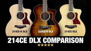 Taylor 214ce DLX Comparison - 214ce DLX vs 214ce-K DLX vs 224ce-K DLX