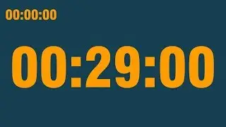 29 minute timer (with end alarm, time elapsed and progress bar)
