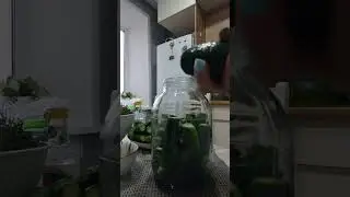 заготовки на зиму 😋 соленые огурцы