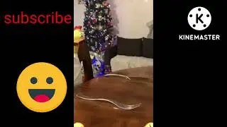 Funny animals ☺☺