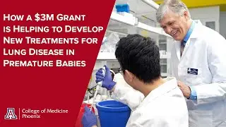 Innovative Lung Therapy for Premature Infants