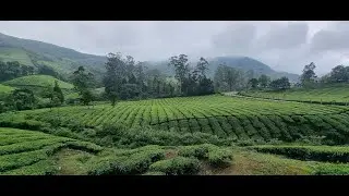 Megamalai - A Blissful Getaway