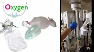Airway preparation  SOAP ME