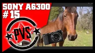 Sony A6300 - Working with SLOG Footage in FCPX