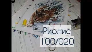 Оформляем вместе) Рысь от Риолис 100/020