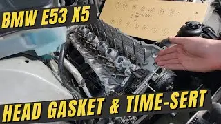 M54 Head Gasket Replacement & Time-Sert | E53 X5