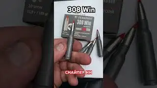 308 Win REDtim