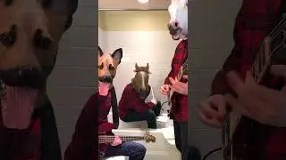 1 year since "Song For The Dead" QOTSA cover