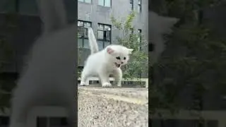 A beautiful moment 