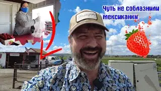 Приключения русского дальнобойщика в Калифорнии!!!🇺🇸