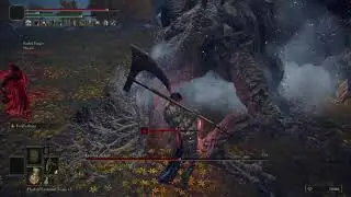 Figthing a Boss while pvp is active is awesome in Elden Ring