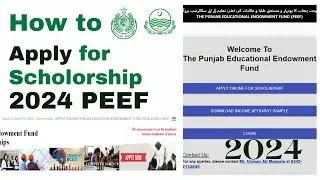 PEEF Punjab Scholarships  for Sindh Students  Intermediate and Matric Education | How to Apply 2024
